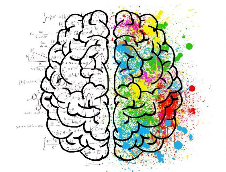 colorful brain mindset