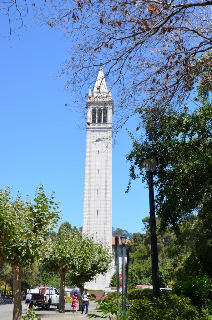 uc berkeley sample essays