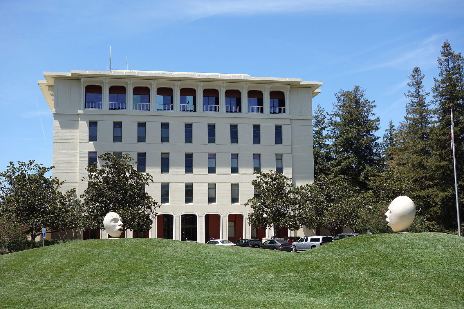 Successful UC Davis Waitlist Essay Example PenningPapers