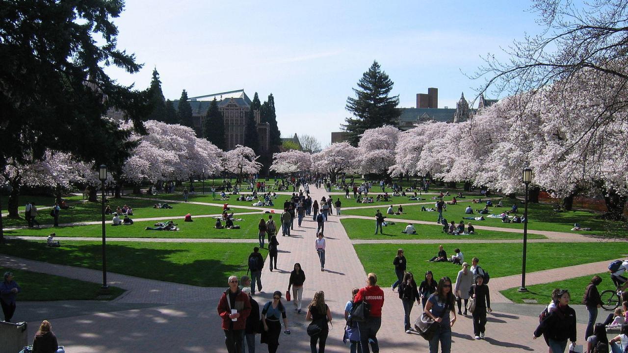 University of Washington