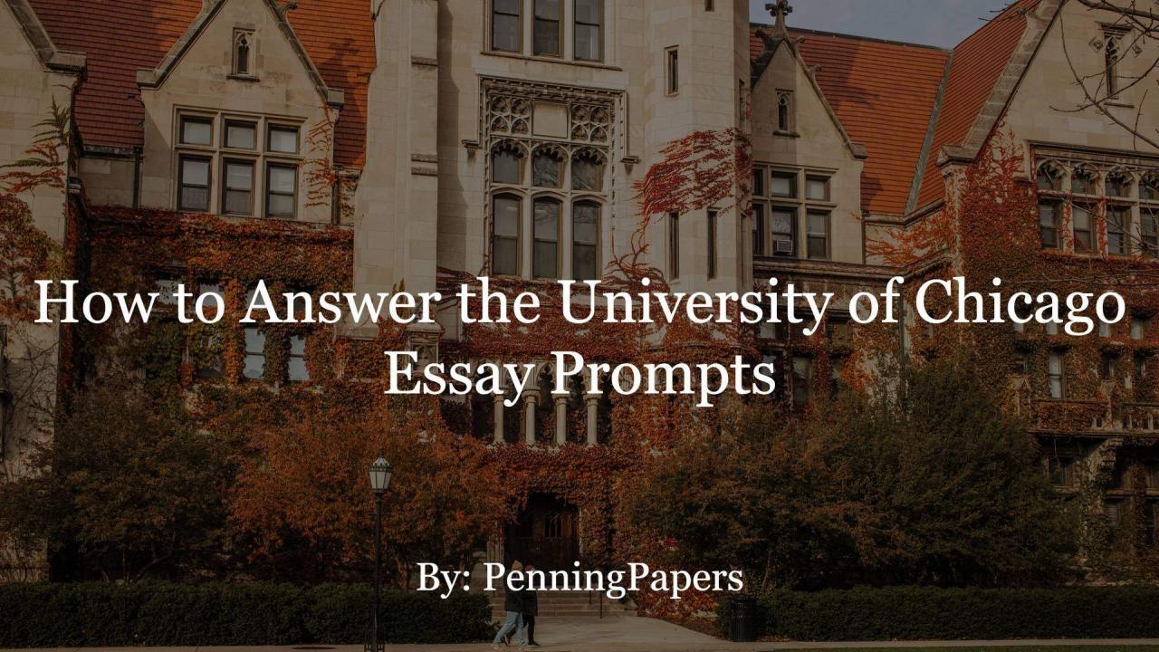 How to Answer the University of Chicago Essay Prompts