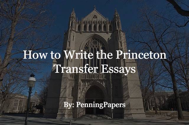 princeton sample essays