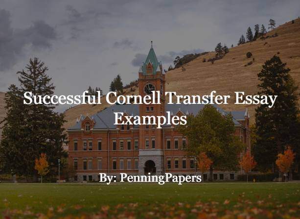 Successful Cornell Transfer Essay Examples