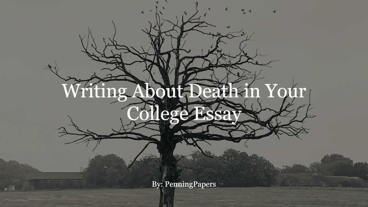 college essay about parents death