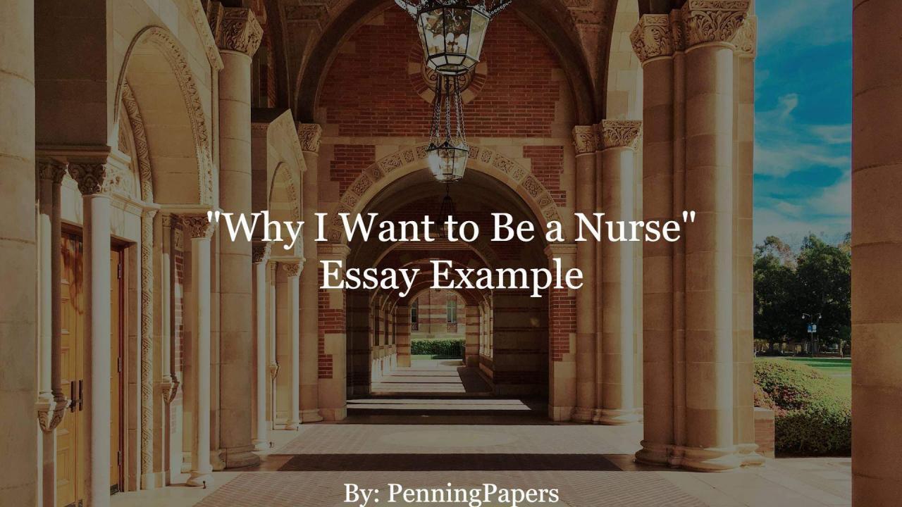 Why I Want to Be a Nurse Essay Example