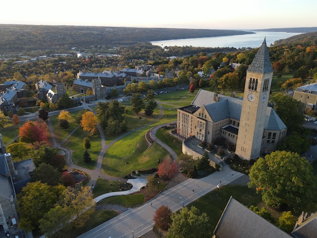 Cornell university