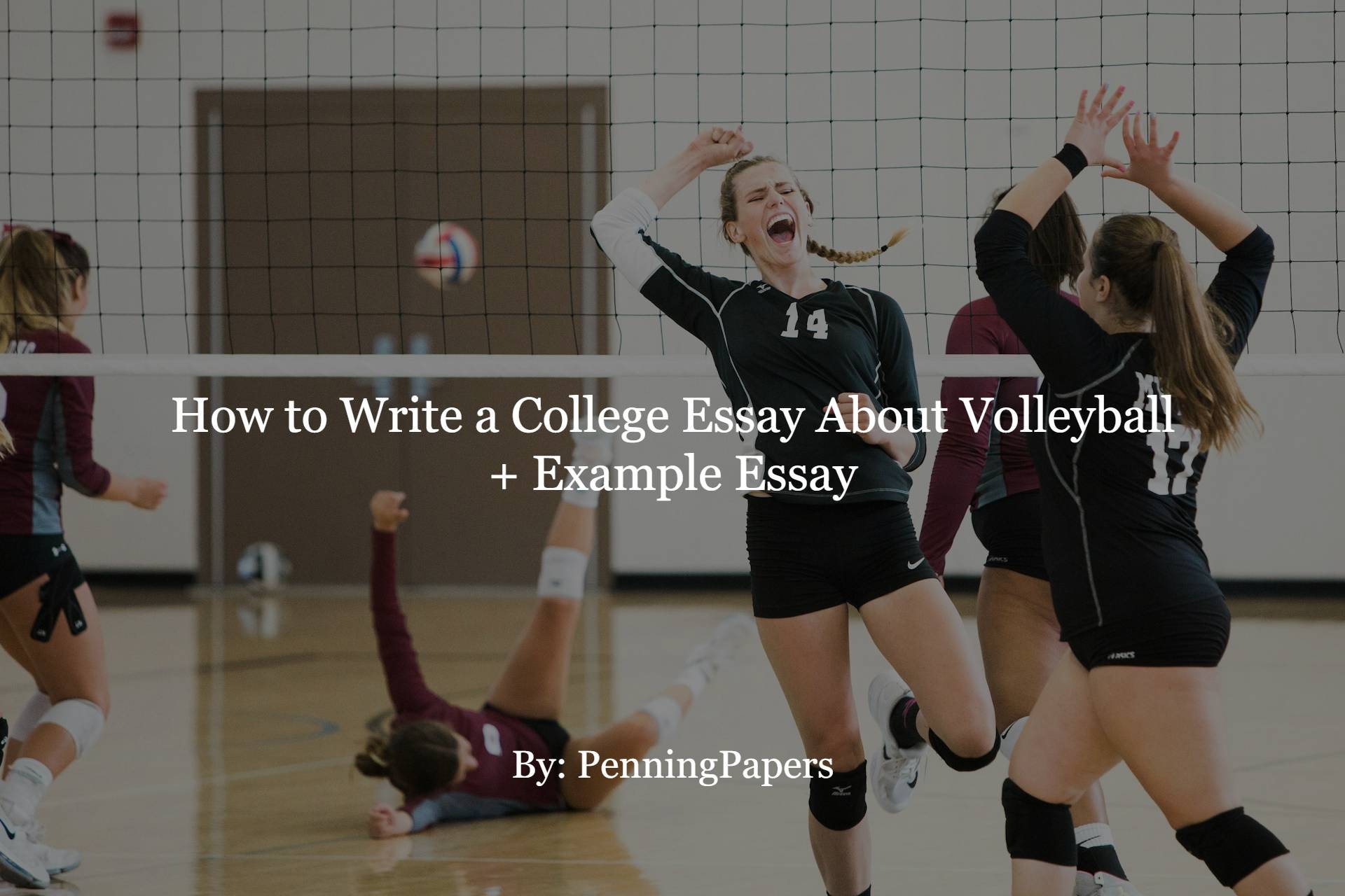 what to write in a volleyball essay